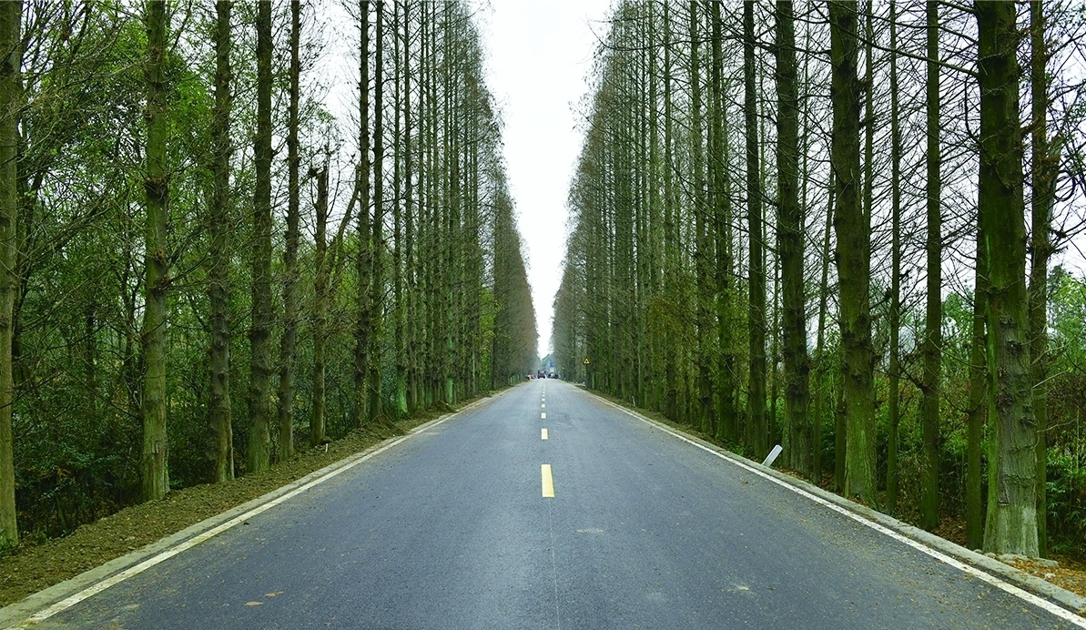 四川帝威中崇路项目 